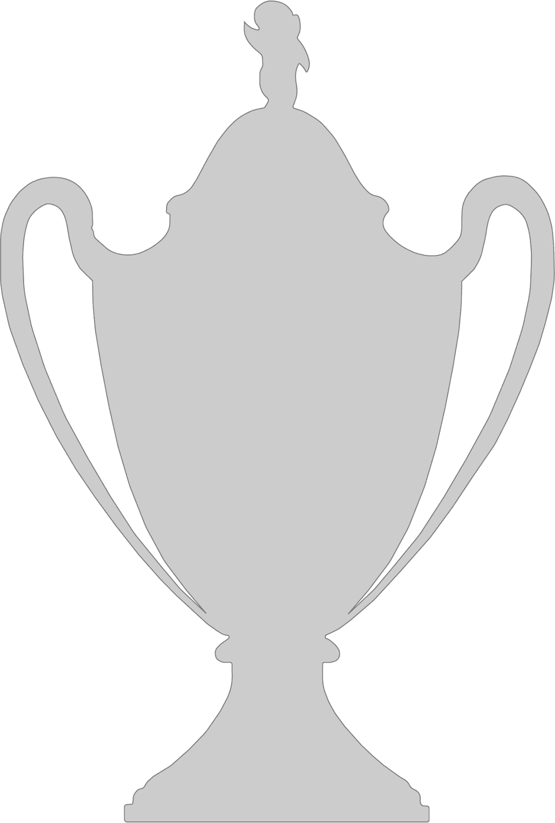 Finaliste de la Coupe de France